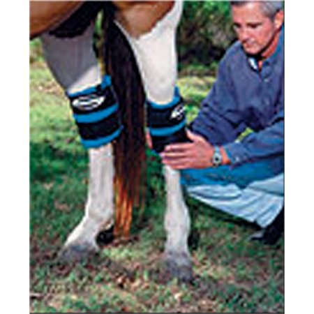 PRO-KOLD ProKold HOCK or ANKLE Equine Leg Ice Wrap PR395659